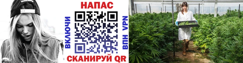Купить наркотик аптеки Топки Кокаин  МЕФ  Гашиш  Бошки Шишки 