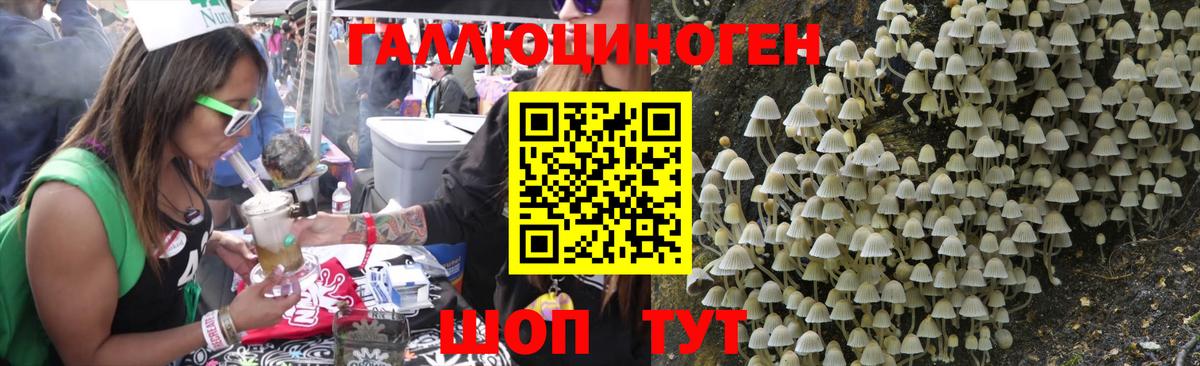 Топки  Галлюциногенные грибы GOLDEN TEACHER  Вход с VPN 